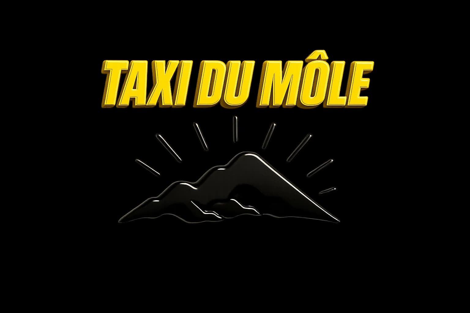 Logo Taxi Du Môle