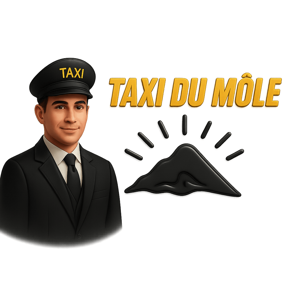Logo Taxi Du Môle